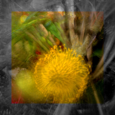 Photography titled "Gelber Blütentraum" by Frank Wichmann, Original Artwork, Digital Photography