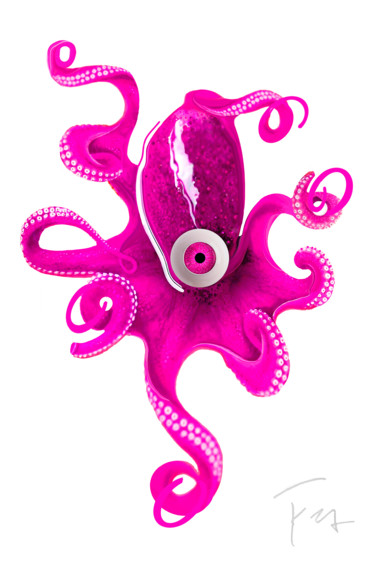 "Creative Calamari" başlıklı Baskıresim Frank Ford tarafından, Orijinal sanat, Dijital baskı