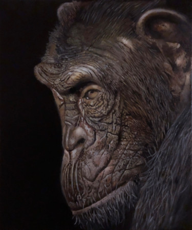 chimp 6 Schilderij getiteld "chimp 6" door Franzart, Origineel Kunstwerk, Olie Gemonteerd op Frame voor houten brancard