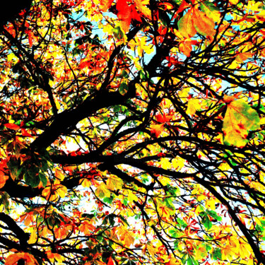 "Autumn" başlıklı Baskıresim Franz Hümpfner tarafından, Orijinal sanat, Dijital Resim