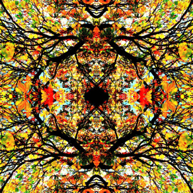 Цифровое искусство под названием "Mandala 01" - Franz Hümpfner, Подлинное произведение искусства, Цифровая живопись Установл…