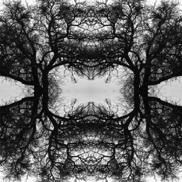Digitale Kunst mit dem Titel "Mandala 02" von Franz Hümpfner, Original-Kunstwerk, Fotomontage