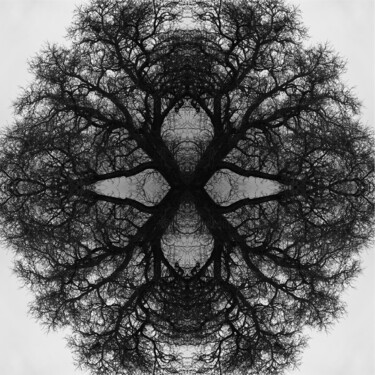 Digitale Kunst mit dem Titel "Mandala 03" von Franz Hümpfner, Original-Kunstwerk, Fotomontage