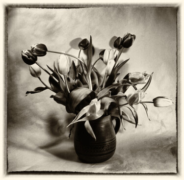 Photography titled "Bouquet of tulips i…" by Franz Hümpfner, Original Artwork, Analog photography