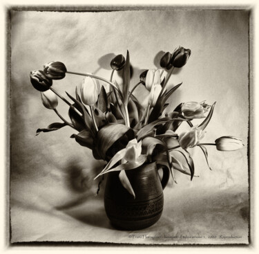 Photographie intitulée "Bouquet of tulips i…" par Franz Hümpfner, Œuvre d'art originale, Photographie argentique