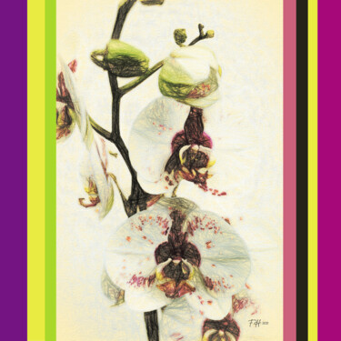 Grafika cyfrowa / sztuka generowana cyfrowo zatytułowany „Digital Orchid 02” autorstwa Franz Hümpfner, Oryginalna praca, Fot…