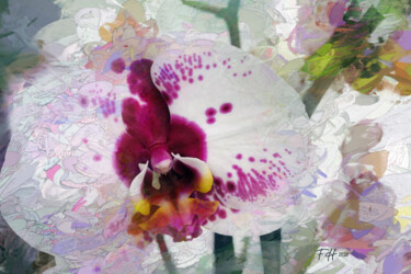 "Digital Orchid 03" başlıklı Dijital Sanat Franz Hümpfner tarafından, Orijinal sanat, Dijital Resim Alüminyum üzerine monte…
