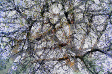 Digital Arts titled "Digital Cherry Blos…" by Franz Hümpfner, Original Artwork, Digital Painting Mounted on Metal