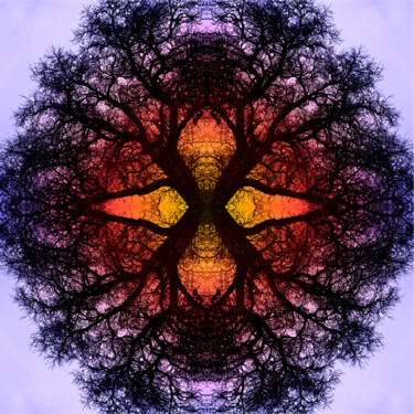 Фотография под названием "Mandala # 5" - Franz Hümpfner, Подлинное произведение искусства, Цифровая фотография Установлен на…