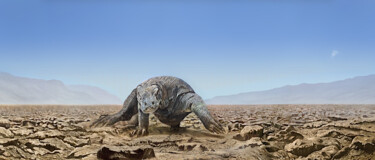 Painting titled "komodo dragon" by Franzart, Original Artwork, Oil