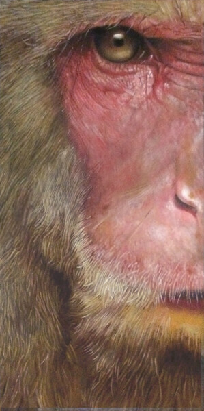 Painting titled "macaque" by Franzart, Original Artwork, Oil