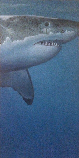 Painting titled "Requin" by Franzart, Original Artwork, Oil