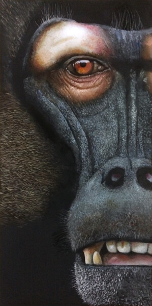 Pintura intitulada "gelada baboon africa" por Franzart, Obras de arte originais, Óleo