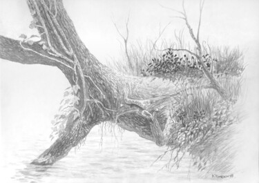 Рисунок под названием "arbre" - Franzart, Подлинное произведение искусства, Карандаш
