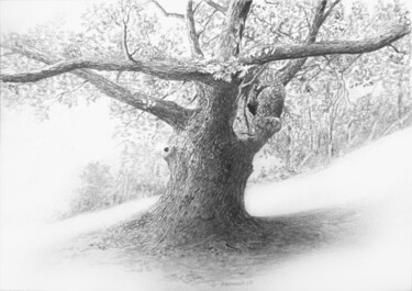 Dessin intitulée "arbre 2" par Franzart, Œuvre d'art originale, Crayon