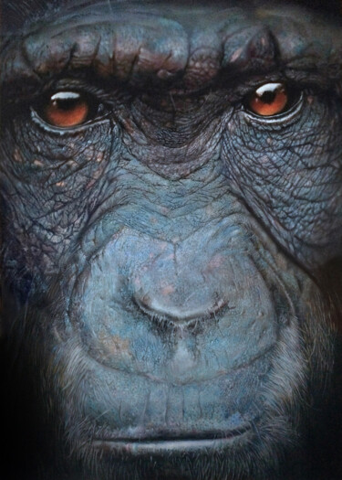 Schilderij getiteld "chimpanzee, oil pai…" door Franzart, Origineel Kunstwerk, Olie