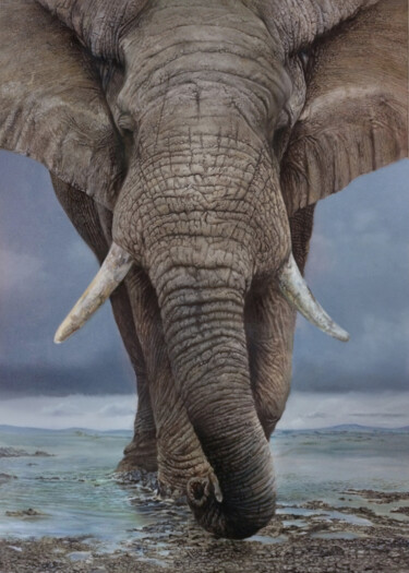 Painting titled "elephant 3, matriar…" by Franzart, Original Artwork, Oil