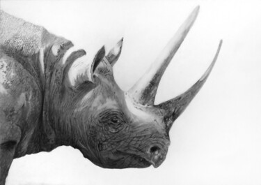 Textile Art titled "Black rhino - 2 , q…" by Franzart, Original Artwork, Pencil