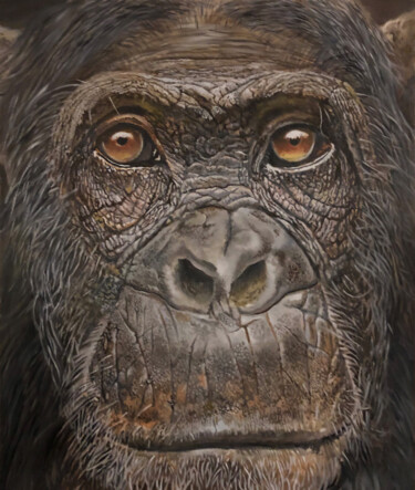 Painting titled "chimp 5" by Franzart, Original Artwork, Oil