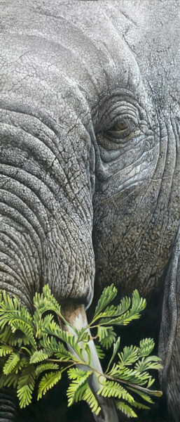 Pintura intitulada "elephant matriarch…" por Franzart, Obras de arte originais, Óleo
