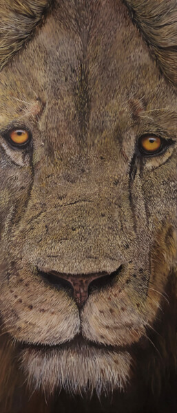 Painting titled "Lion Male" by Franzart, Original Artwork, Oil