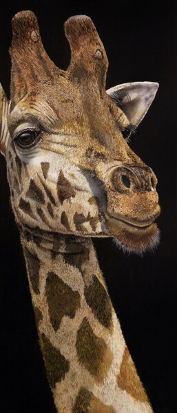 Картина под названием "Giraffe" - Franzart, Подлинное произведение искусства, Масло
