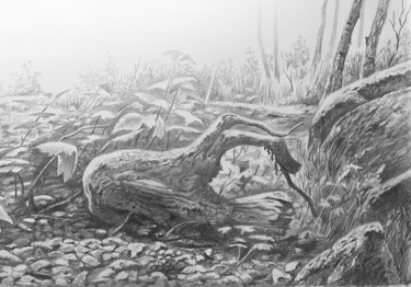 Desenho intitulada "arbre mort" por Franzart, Obras de arte originais, Lápis