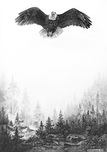 Drawing titled "L'aigle" by Franzart, Original Artwork, Pencil
