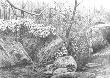 Drawing titled "FORET (COMPOSÉ)" by Franzart, Original Artwork, Pencil