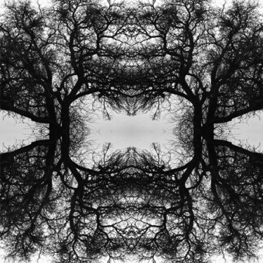Mandala 02 Arte digital titulada "Mandala 02" por Franz Hümpfner, Obra de arte original, Foto-montaje