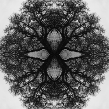 Mandala 03 Arte digital titulada "Mandala 03" por Franz Hümpfner, Obra de arte original, Foto-montaje