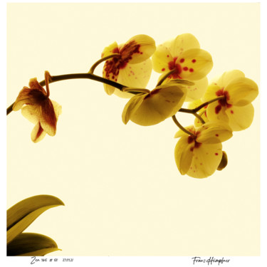 zen365#50 Photography titled "zen365#50" by Franz Hümpfner, Original Artwork, Digital Photography