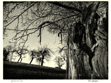 zen365#54 Photography titled "zen365#54" by Franz Hümpfner, Original Artwork, Digital Photography