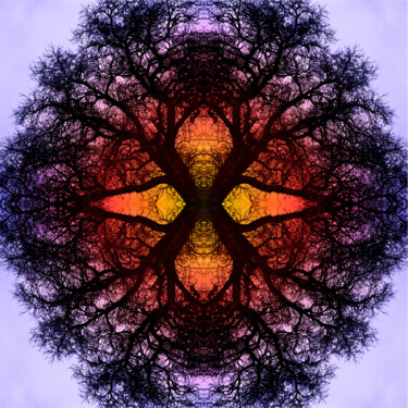 Fotografia intitolato "Mandala # 5" da Franz Hümpfner, Opera d'arte originale, Fotografia digitale Montato su Alluminio