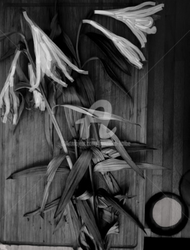 Fotografie mit dem Titel "Lilien" von Franziska Kolbe, Original-Kunstwerk, Digitale Fotografie