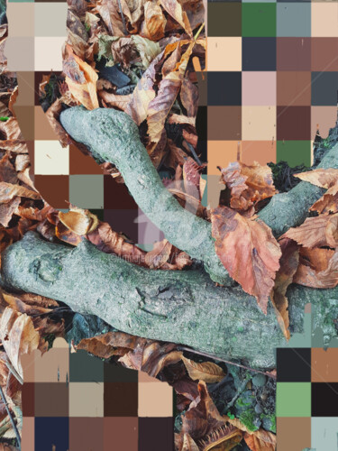 Digitale Kunst mit dem Titel "Pixelworld 7" von Franziska Kolbe, Original-Kunstwerk, Digitale Fotografie