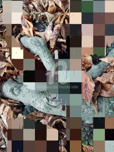 Arts numériques intitulée "Pixelworld 8" par Franziska Kolbe, Œuvre d'art originale, Photographie numérique