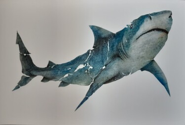 Peinture intitulée "Requin tigre" par Fred Bonna, Œuvre d'art originale, Huile