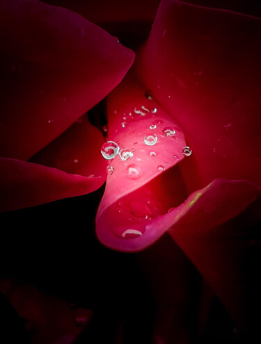 Photography titled "The wet kiss" by Fred-Jürgen Schiele, Original Artwork, Digital Photography