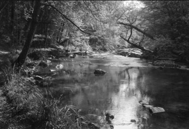 Photographie intitulée "River Auvezere" par Frédéric Duchesnay, Œuvre d'art originale, Photographie argentique