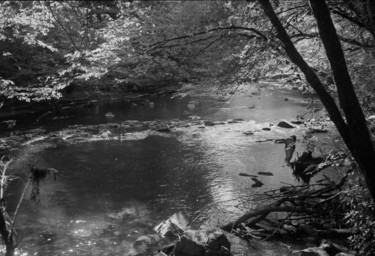 Photography titled "River" by Frédéric Duchesnay, Original Artwork, Analog photography