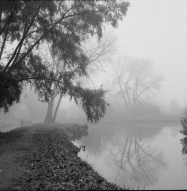 Photographie intitulée "brumes sur l'étang" par Frédéric Duchesnay, Œuvre d'art originale, Photographie argentique