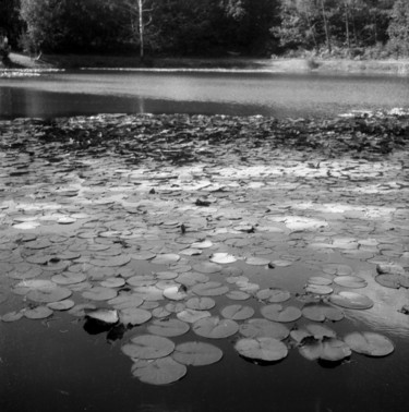 Photography titled "Etang" by Frédéric Duchesnay, Original Artwork, Analog photography