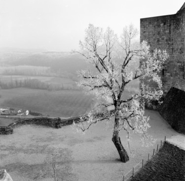 Photography titled "Point de vue" by Frédéric Duchesnay, Original Artwork, Analog photography