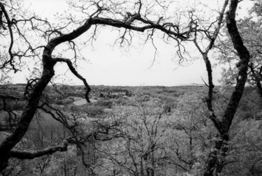 Fotografie mit dem Titel "Vielles branches" von Frédéric Duchesnay, Original-Kunstwerk, Analog Fotografie