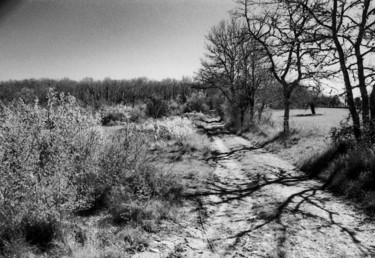 Photographie intitulée "Chemin de campagne" par Frédéric Duchesnay, Œuvre d'art originale, Photographie argentique