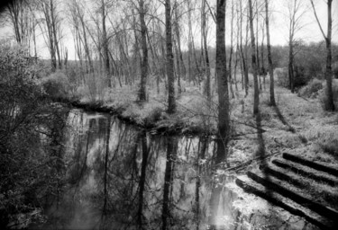 Fotografie getiteld "Escalier dans l'eau." door Frédéric Duchesnay, Origineel Kunstwerk, Film fotografie
