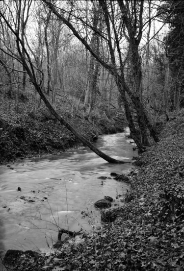 Photographie intitulée "Le ruisseau" par Frédéric Duchesnay, Œuvre d'art originale, Photographie argentique