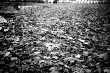 Photography titled "Feuilles" by Frédéric Duchesnay, Original Artwork, Analog photography