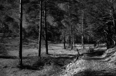 Photography titled "Chemin du causse" by Frédéric Duchesnay, Original Artwork, Analog photography